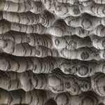 Ozean Eiche "Graphit"