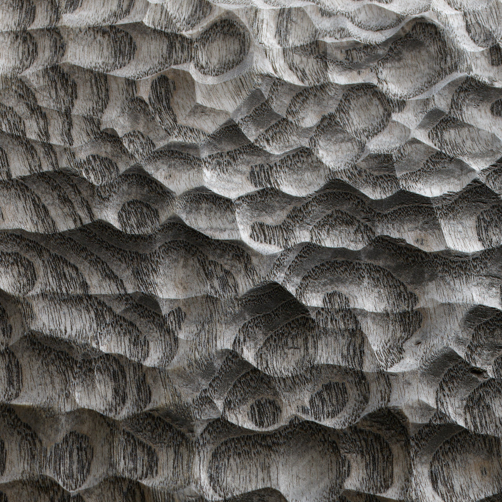 Esche Ozean "Graphit"