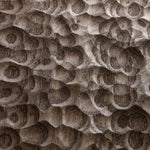 OZEAN Esche "Walnuss"