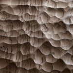 Ozean Eiche "Walnuss"