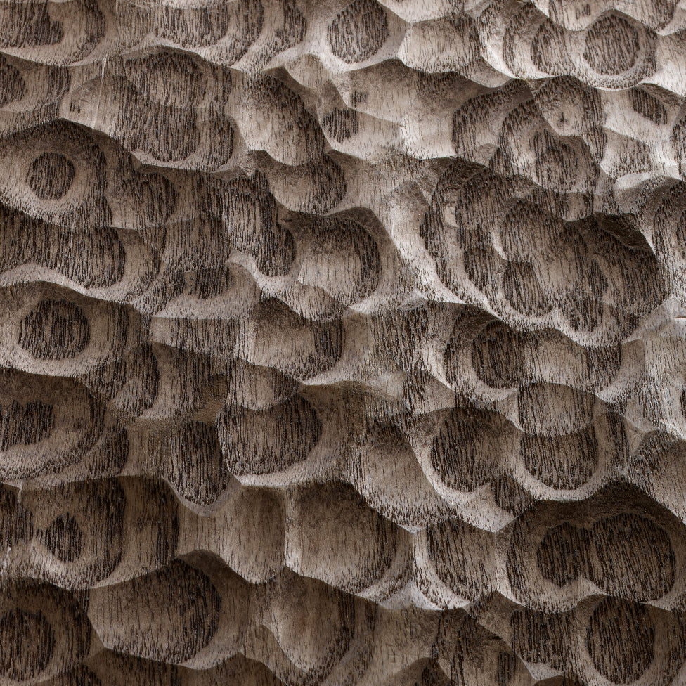 OZEAN Esche "Walnuss"